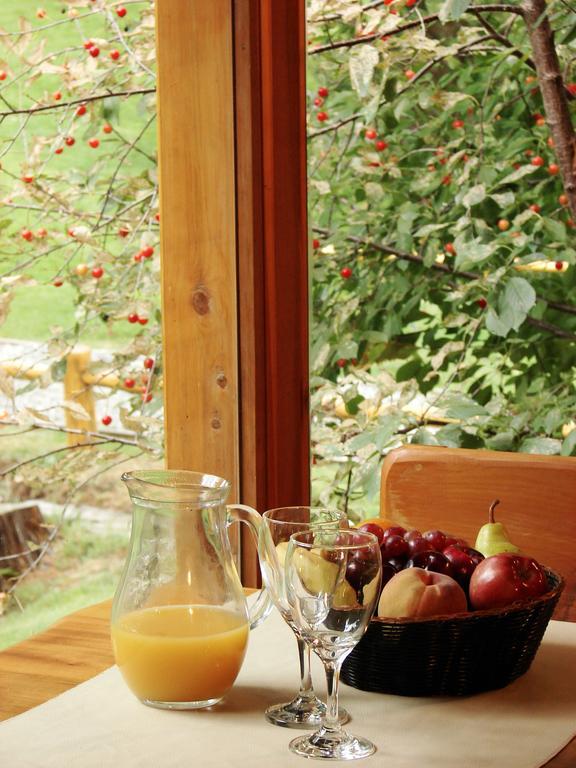 Villa Sofia Resort & Spa San Carlos de Bariloche Eksteriør bilde